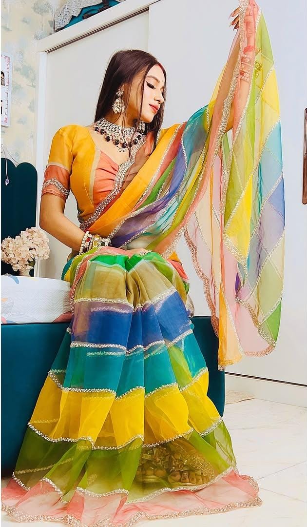 Multicolor Rainbow Tabby Silk Saree with Zarkhan Work