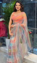 Multicolor Light Rainbow Tabby Silk Saree with Zarkhan Work