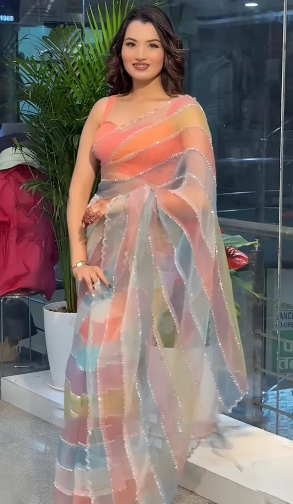 Multicolor Light Rainbow Tabby Silk Saree with Zarkhan Work
