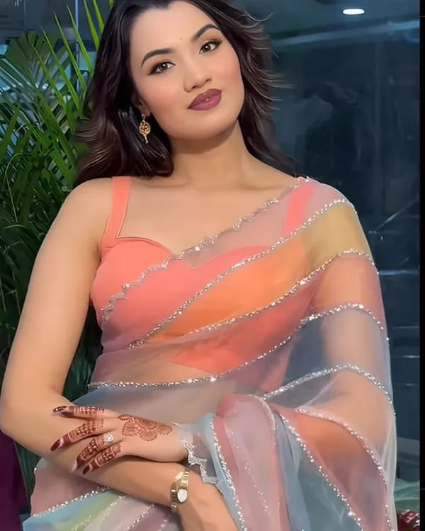 Multicolor Light Rainbow Tabby Silk Saree with Zarkhan Work