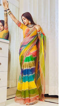 Multicolor Rainbow Tabby Silk Saree with Zarkhan Work