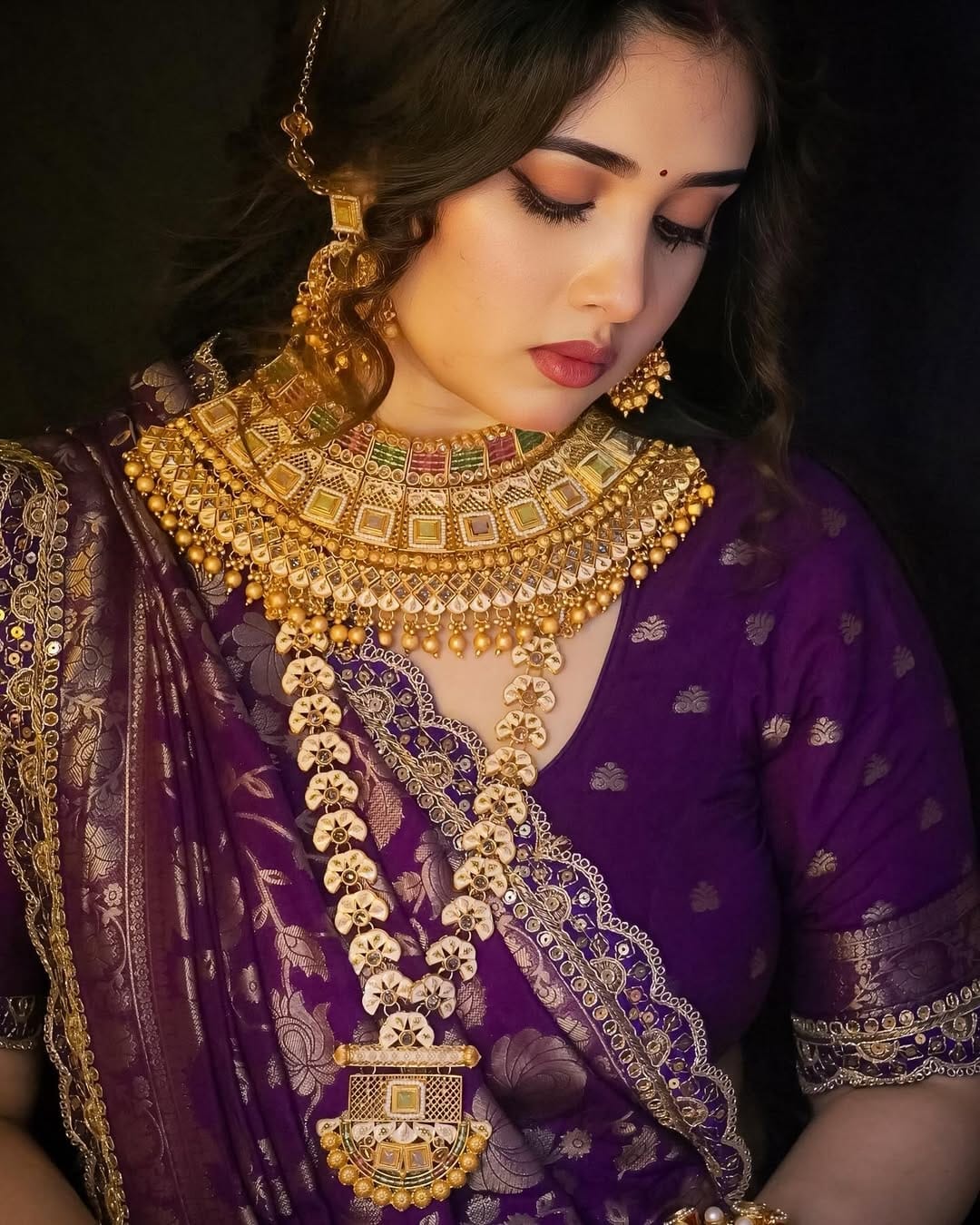 kanchi borders meets the tradition saree