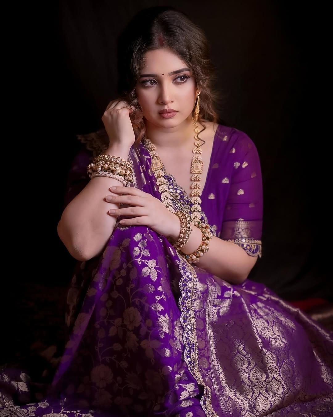 kanchi borders meets the tradition saree