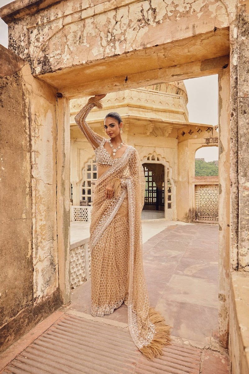 Full Saree of Heavy Quality Butterfly Net