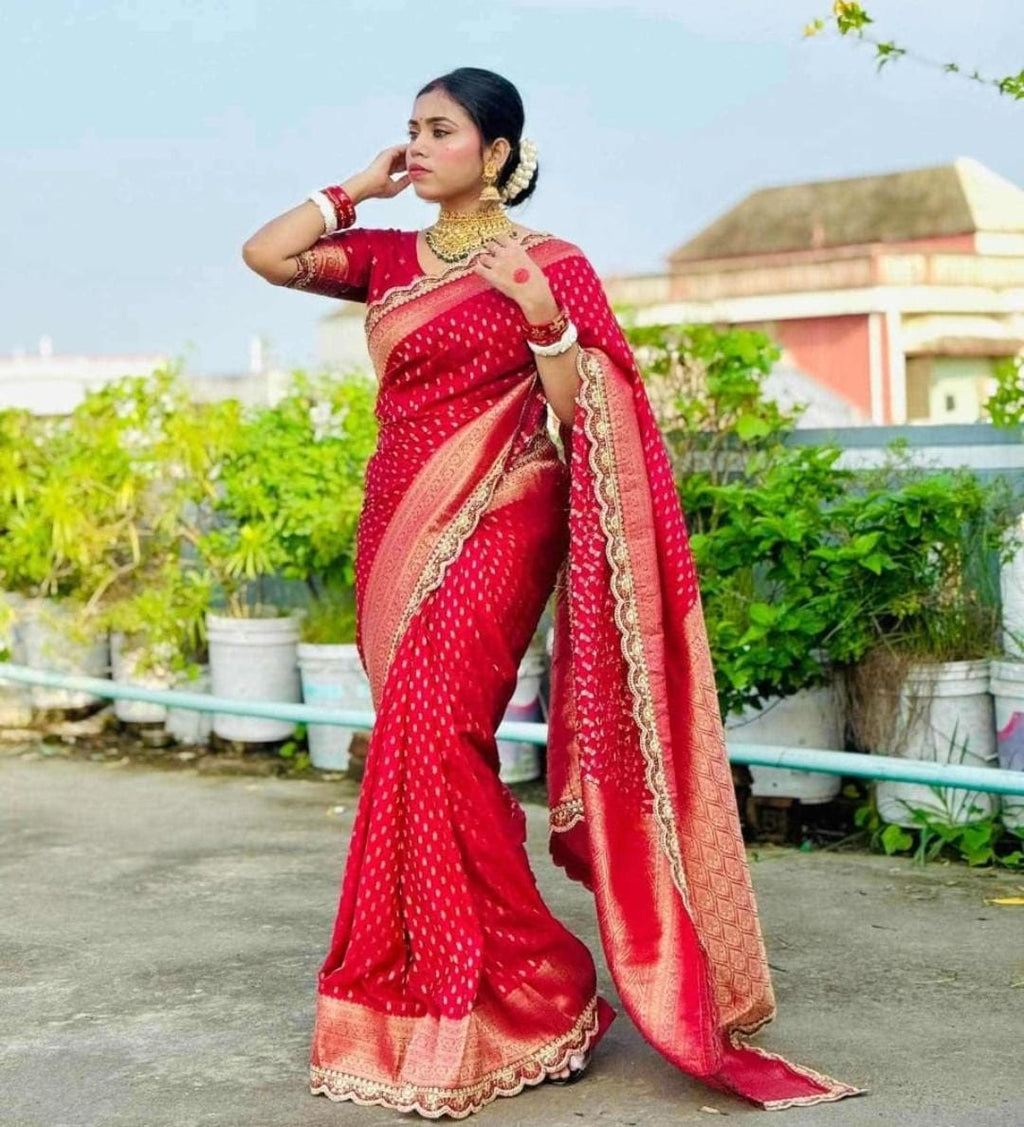 kanchi borders meets the tradition SARI