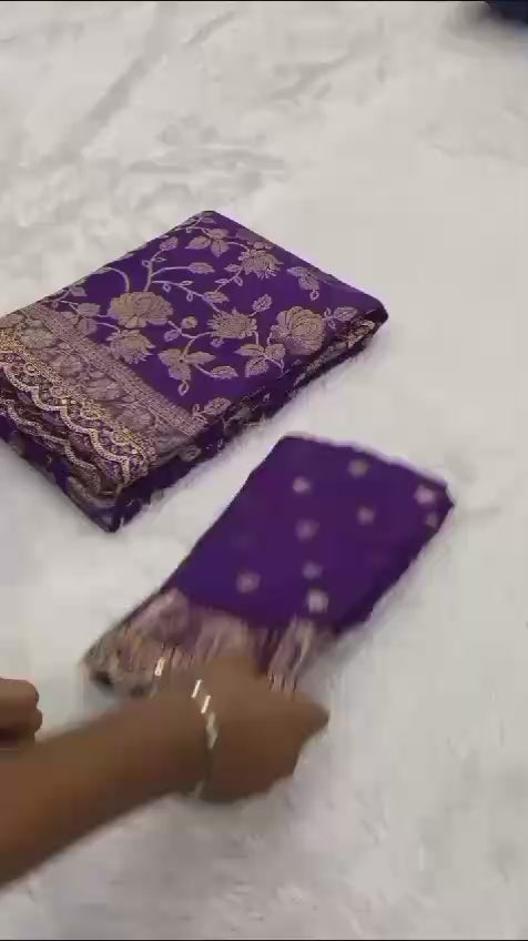 kanchi borders meets the tradition saree